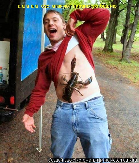а а а а а сос атакуют пизанскую башню... Котоматрица: а а а а а сос атакуют пизанскую башню