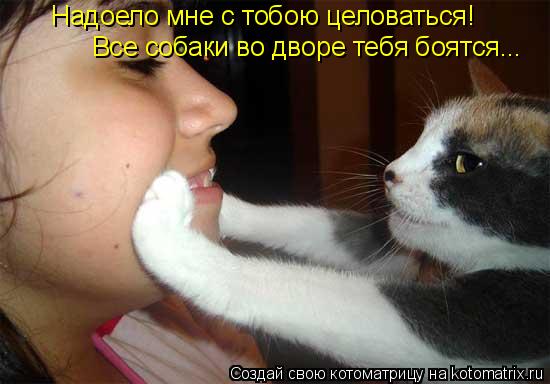 Надоело мне с тобою целоваться! Все собаки во дворе тебя боятся...... Котоматрица: Надоело мне с тобою целоваться! Все собаки во дворе тебя боятся...