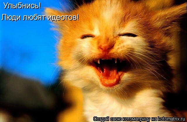 Улыбнись! Улыбнись! Люди любят идеотов!... Котоматрица: Улыбнись! Улыбнись! Люди любят идеотов!