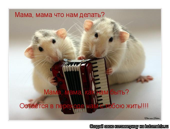 Мама, мама, как нам быть? Мама, мама что нам делать? Остаётся в переходе нам с тобою жить!!!!... Котоматрица: Мама, мама, как нам быть? Мама, мама что нам делать? Остаётся в переходе нам с тобою жить!!!!