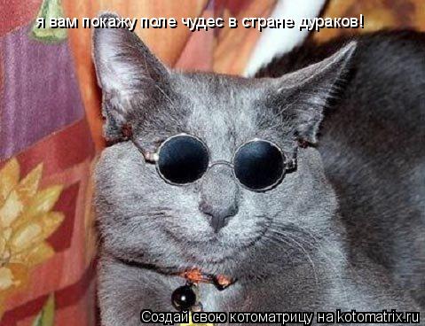Котоматрица: я вам покажу поле чудес в стране дураков!