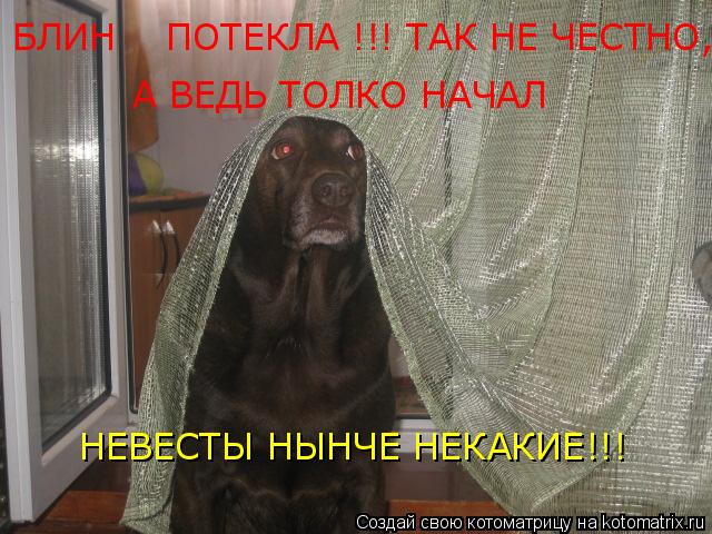 БЛИН ПОТЕКЛА !!! ТАК НЕ ЧЕСТНО, А ВЕДЬ ТОЛКО НАЧАЛ А ВЕДЬ ТОЛКО НАЧАЛ НЕВЕСТЫ НЫНЧЕ НЕКАКИЕ!!!... Котоматрица: БЛИН ПОТЕКЛА !!! ТАК НЕ ЧЕСТНО, А ВЕДЬ ТОЛКО НАЧАЛ А ВЕДЬ ТОЛКО НАЧАЛ НЕВЕСТЫ НЫНЧЕ НЕКАКИЕ!!!