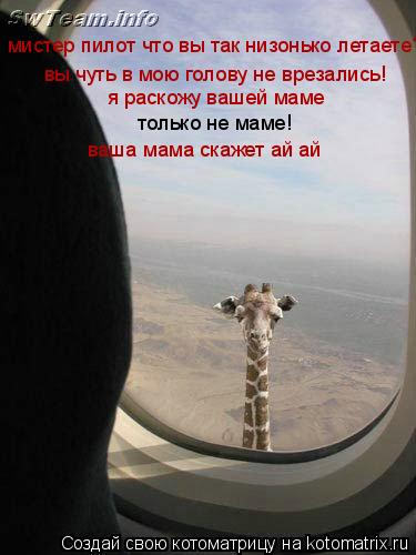 мистер пилот что вы так низонько летаете? вы чуть в мою голову не врезались! я раскожу вашей маме тол... Котоматрица: мистер пилот что вы так низонько летаете? вы чуть в мою голову не врезались! я раскожу вашей маме только не маме! ваша мама скажет ай ай