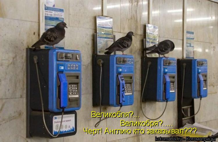 Котоматрица: Великобля?... Великобря?..... Черт! Англию кто заказывал???