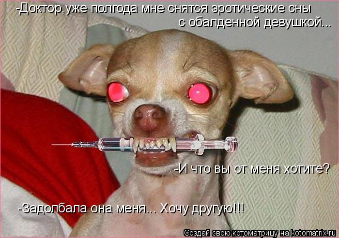 -Доктор,уже полгода мне снятся эротические сны с обалденной девушкой... -И что вы от меня хотите? ... Котоматрица: -Доктор,уже полгода мне снятся эротические сны с обалденной девушкой... -И что вы от меня хотите? -Задолбала она меня... Хочу другую!!!