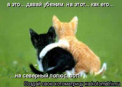 а это... давай убежим. на этот... как его... ...на северный полюс, вот!... Котоматрица: а это... давай убежим. на этот... как его... ...на северный полюс, вот!