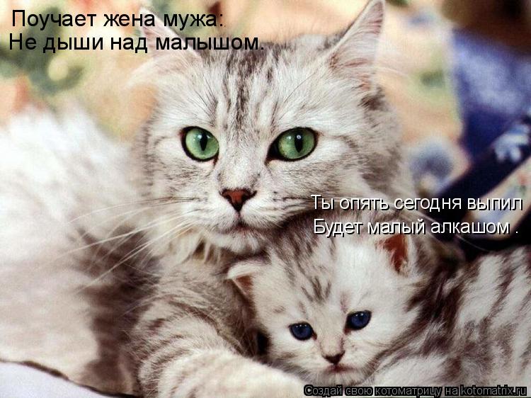 Поучает жена мужа: «Не дыши над малышом. Ты опять сегодня выпил Будет малый алкашом».... Котоматрица: Поучает жена мужа: «Не дыши над малышом. Ты опять сегодня выпил Будет малый алкашом».