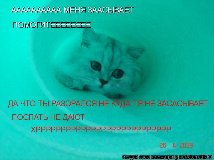 АААААААААА МЕНЯ ЗААСЫВАЕТ ПОМОГИТЕЕЕЕЕЕЕЕ ДА ЧТО ТЫ РАЗОРАЛСЯ НЕ КУДА ТЯ НЕ ЗАСАСЫВАЕТ ПОСПАТЬ НЕ ДА... Котоматрица: АААААААААА МЕНЯ ЗААСЫВАЕТ ПОМОГИТЕЕЕЕЕЕЕЕ ДА ЧТО ТЫ РАЗОРАЛСЯ НЕ КУДА ТЯ НЕ ЗАСАСЫВАЕТ ПОСПАТЬ НЕ ДАЮТ ХРРРРРРРРРРРРРРРРРРРРРРРРРРР