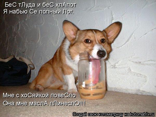 БеС тЛуда и беС хлАпот Я набью Се полный Лот. Мне с хоСяйкой повеСло Она мне маслА пЛинеслО!!!... Котоматрица: БеС тЛуда и беС хлАпот Я набью Се полный Лот. Мне с хоСяйкой повеСло Она мне маслА пЛинеслО!!!