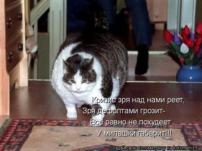 Кризис зря над нами реет, Зря дефолтами грозит- Всё равно не похудеет У милашки габарит!!!... Котоматрица: Кризис зря над нами реет, Зря дефолтами грозит- Всё равно не похудеет У милашки габарит!!!