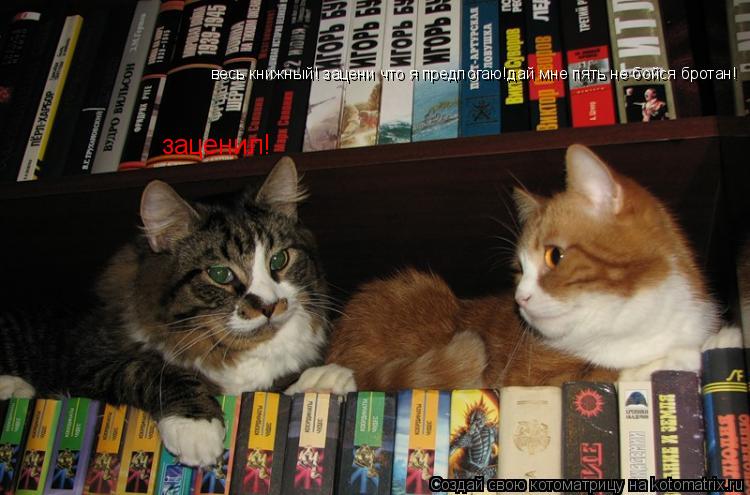 весь книжный! зацени что я предлогаю!дай мне пять не бойся бротан! заценил!... Котоматрица: весь книжный! зацени что я предлогаю!дай мне пять не бойся бротан! заценил!