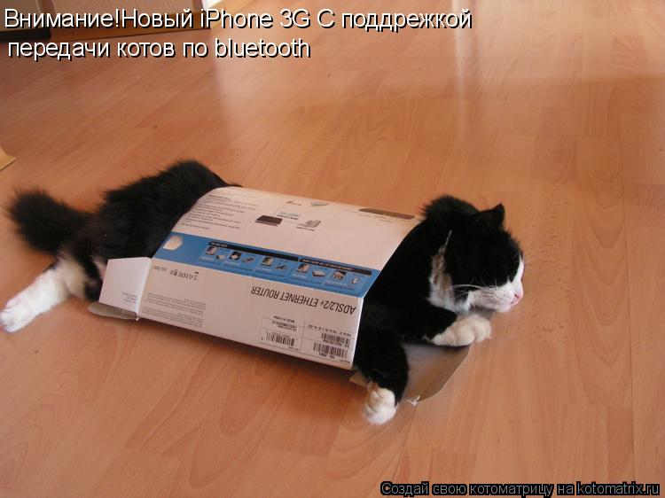 Внимание!Новый iPhone 3G С поддрежкой передачи котов по bluetooth... Котоматрица: Внимание!Новый iPhone 3G С поддрежкой передачи котов по bluetooth