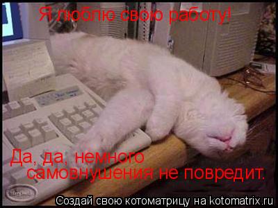 Я люблю свою работу! Да, да, немного самовнушения не повредит. Да, да, немного самовнушения не повр... Котоматрица: Я люблю свою работу! Да, да, немного самовнушения не повредит. Да, да, немного самовнушения не повредит.