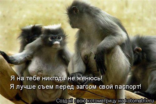 Я на тебе никгода не женюсь! Я лучше съем перед загсом свой паспорт!... Котоматрица: Я на тебе никгода не женюсь! Я лучше съем перед загсом свой паспорт!