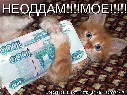 НЕОДДАМ!!!!МОЕ!!!!!... Котоматрица: НЕОДДАМ!!!!МОЕ!!!!!