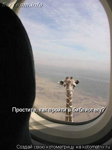 Простите, как пройти в библиотеку?... Котоматрица: Простите, как пройти в библиотеку?
