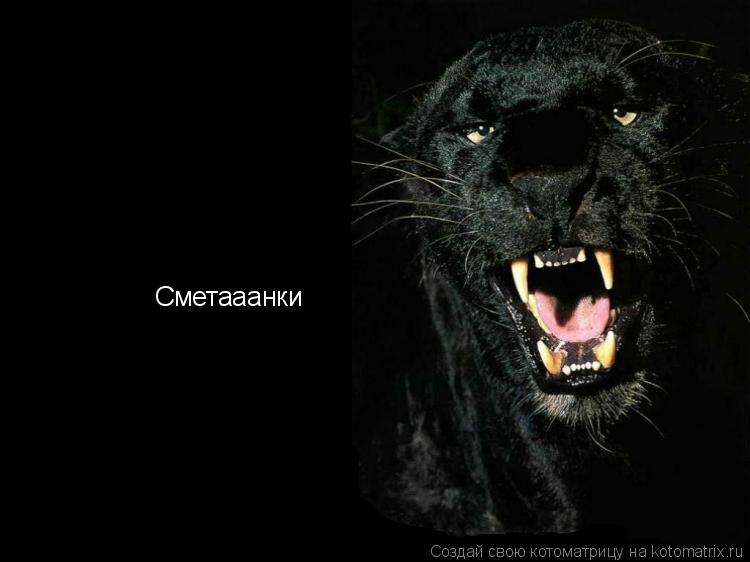 Сметааанки... Котоматрица: Сметааанки