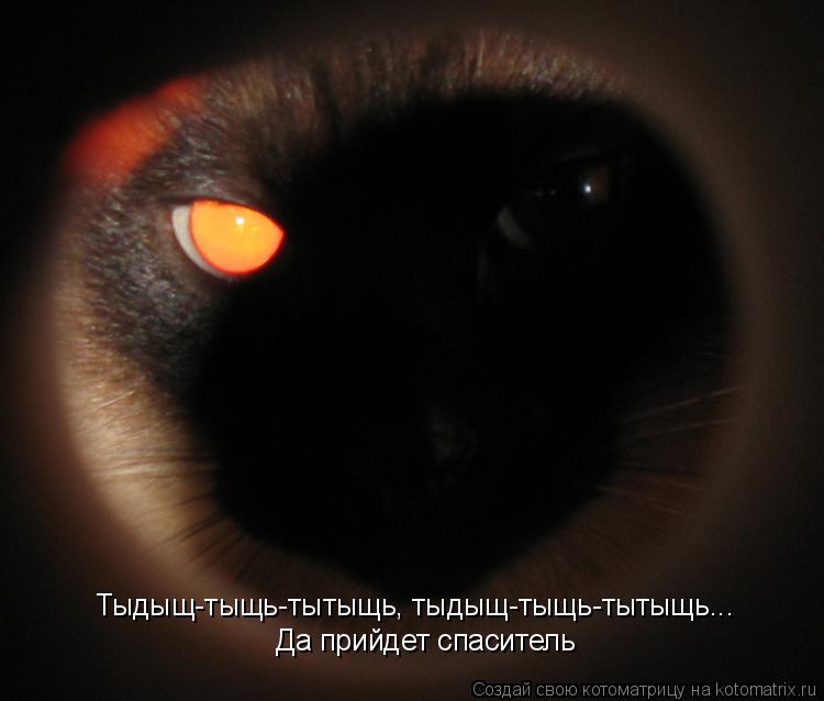 Тыдыщ-тыщь-тытыщь, тыдыщ-тыщь-тытыщь... Да прийдет спаситель... Котоматрица: Тыдыщ-тыщь-тытыщь, тыдыщ-тыщь-тытыщь... Да прийдет спаситель
