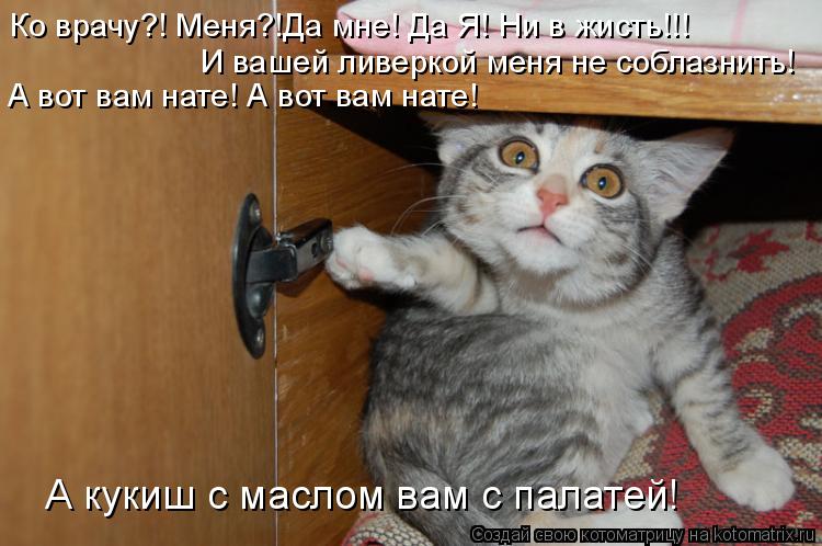 Ко врачу?! Меня?!Да мне! Да Я! Ни в жисть!!! И вашей ливеркой меня не соблазнить! А вот вам нате! А в... Котоматрица: Ко врачу?! Меня?!Да мне! Да Я! Ни в жисть!!! И вашей ливеркой меня не соблазнить! А вот вам нате! А вот вам нате! А кукиш с маслом вам с палатей!