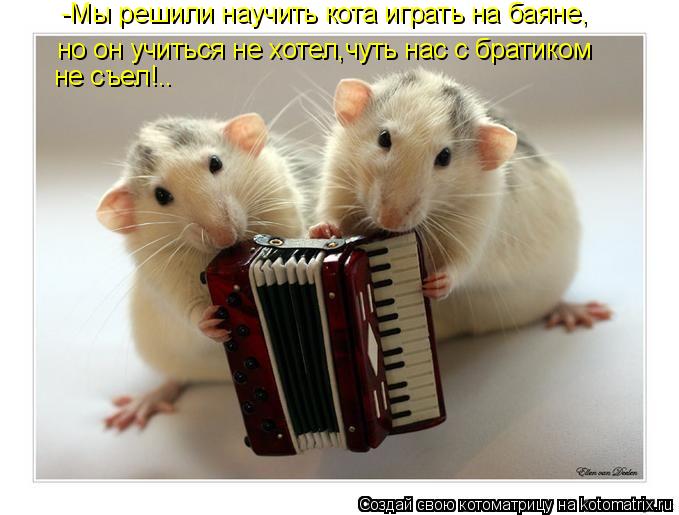 не съел!.. -Мы решили научить кота играть на баяне, но он учиться не хотел,чуть нас с братиком... Котоматрица: не съел!.. -Мы решили научить кота играть на баяне, но он учиться не хотел,чуть нас с братиком