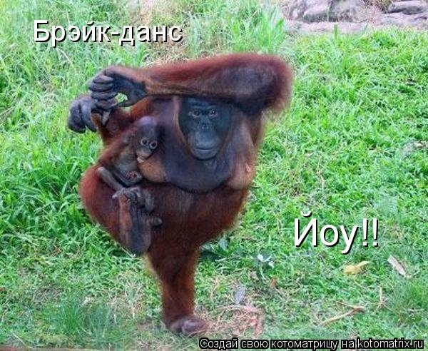 Котоматрица: Брэйк-данс Йоу!!