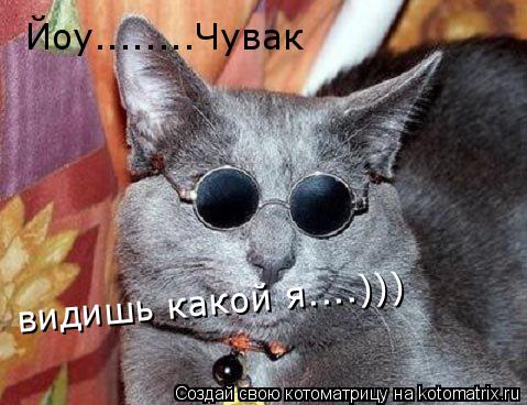 Котоматрица: Йоу........Чувак видишь какой я....)))