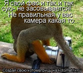 Я свой фас и так,и так сую- не засовывается! Не правильная у вас камера какая то...... Котоматрица: Я свой фас и так,и так сую- не засовывается! Не правильная у вас камера какая то...
