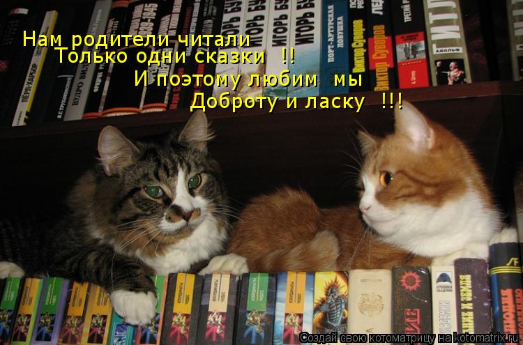 Котоматрица: Нам родители читали И поэтому любим  мы Доброту и ласку  !!! Только одни сказки  !!