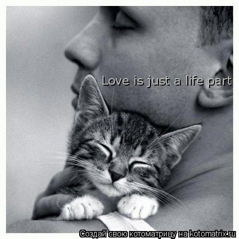 Love is just a life part... Котоматрица: Love is just a life part