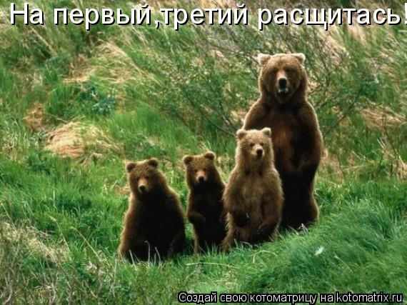На первый,третий расщитась!... Котоматрица: На первый,третий расщитась!