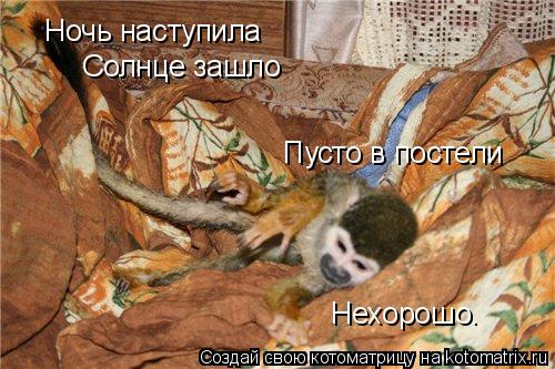 Ночь наступила Солнце зашло Пусто в постели Нехорошо.... Котоматрица: Ночь наступила Солнце зашло Пусто в постели Нехорошо.