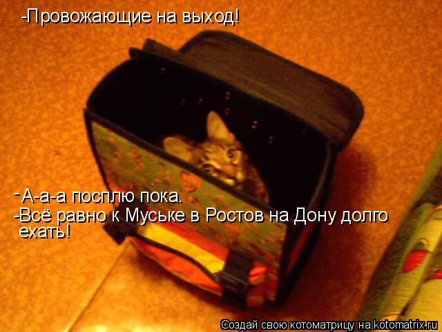 Котоматрица: -Провожающие на выход! А-а-а посплю пока. - -Всё равно к Муське в Ростов на Дону долго  ехать!