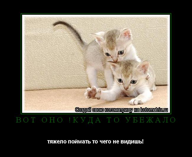 вот оно !куда то убежало тяжело поймать то чего не видишь!... Котоматрица: вот оно !куда то убежало тяжело поймать то чего не видишь!
