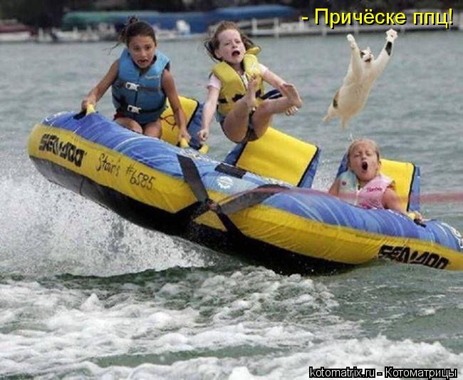 - Причёске ппц!... Котоматрица: - Причёске ппц!