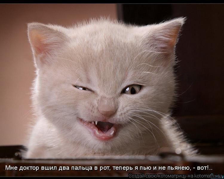 Мне доктор вшил два пальца в рот, теперь я пью и не пьянею, - вот!..... Котоматрица: Мне доктор вшил два пальца в рот, теперь я пью и не пьянею, - вот!..