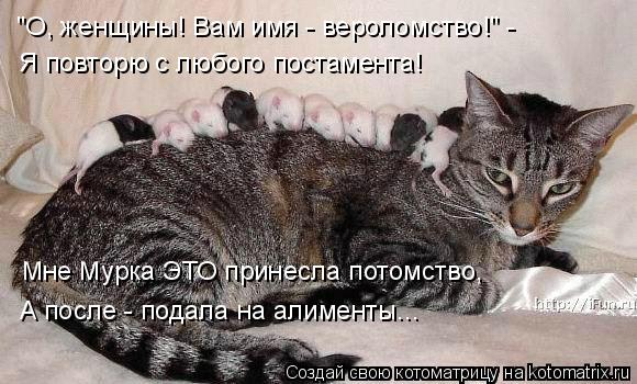 "О, женщины! Вам имя - вероломство!" - Я повторю с любого постамента! Мне Мурка ЭТО принесла потомств... Котоматрица: "О, женщины! Вам имя - вероломство!" - Я повторю с любого постамента! Мне Мурка ЭТО принесла потомство, А после - подала на алименты...