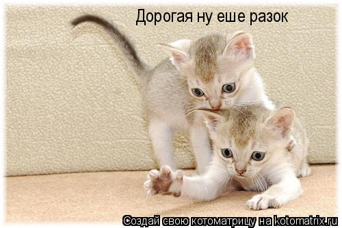 Дорогая ну еше разок... Котоматрица: Дорогая ну еше разок