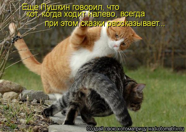 Котоматрица: Еще Пушкин говорил, что  кот, когда ходит налево, всегда  при этом сказки рассказывает...