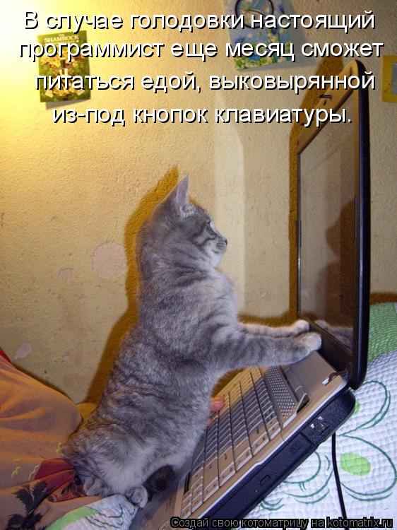 В случае голодовки настоящий программист еще месяц сможет питаться едой, выковырянной из-под кно... Котоматрица: В случае голодовки настоящий программист еще месяц сможет питаться едой, выковырянной из-под кнопок клавиатуры.