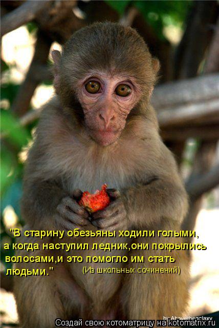 "В старину обезьяны ходили голыми, а когда наступил ледник,они покрылись волосами,и это помогло им ст... Котоматрица: "В старину обезьяны ходили голыми, а когда наступил ледник,они покрылись волосами,и это помогло им стать людьми." (Из школьных сочинений)