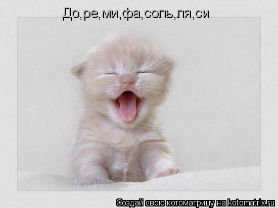 Котоматрица: До,ре,ми,фа,соль,ля,cи