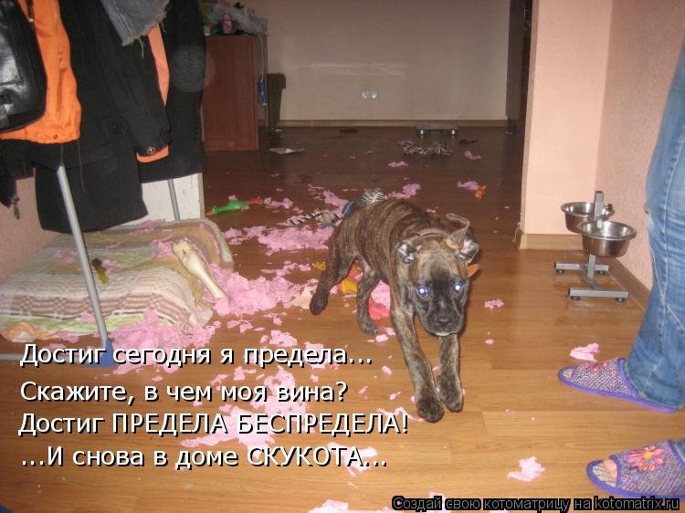 Достиг сегодня я предела... Скажите, в чем моя вина? Достиг ПРЕДЕЛА БЕСПРЕДЕЛА! ...И снова в доме СК... Котоматрица: Достиг сегодня я предела... Скажите, в чем моя вина? Достиг ПРЕДЕЛА БЕСПРЕДЕЛА! ...И снова в доме СКУКОТА...