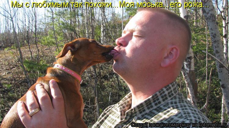 Мы с любимым так похожи...Моя моська...его рожа...... Котоматрица: Мы с любимым так похожи...Моя моська...его рожа...