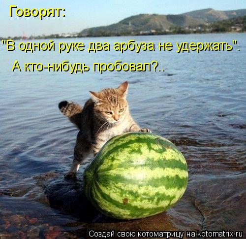 Говорят: "В одной руке два арбуза не удержать". А кто-нибудь пробовал?..... Котоматрица: Говорят: "В одной руке два арбуза не удержать". А кто-нибудь пробовал?..