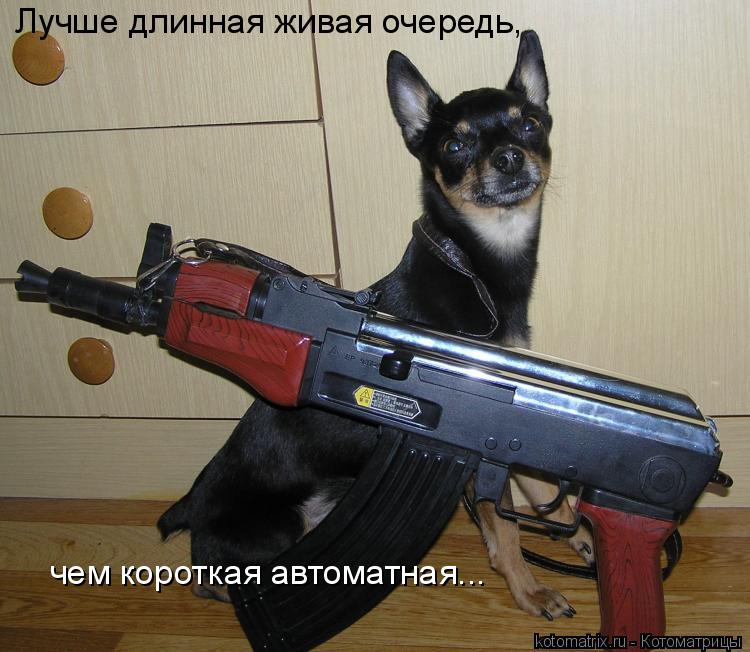 Лучше длинная живая очередь, чем короткая автоматная...... Котоматрица: Лучше длинная живая очередь, чем короткая автоматная...