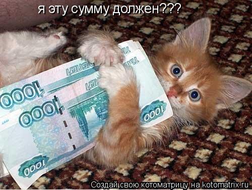я эту сумму должен???... Котоматрица: я эту сумму должен???