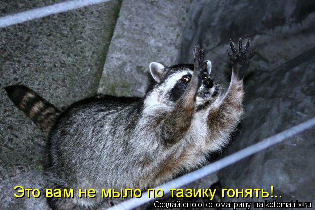 Это вам не мыло по тазику гонять!..... Котоматрица: Это вам не мыло по тазику гонять!..