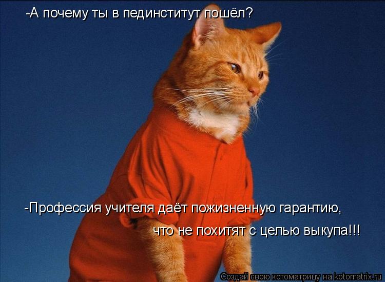 -А почему ты в пединститут пошёл? -Профессия учителя даёт пожизненную гарантию, что не похитят с це... Котоматрица: -А почему ты в пединститут пошёл? -Профессия учителя даёт пожизненную гарантию, что не похитят с целью выкупа!!!