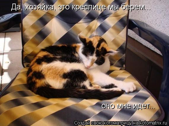 Да, хозяйка, это креслице мы берем... оно мне идет...... Котоматрица: Да, хозяйка, это креслице мы берем... оно мне идет...
