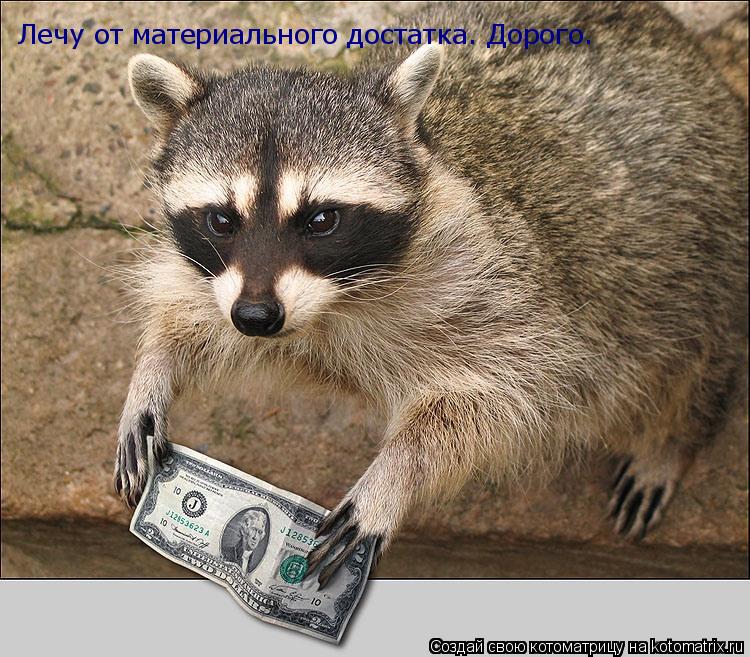 Лечу от материального достатка. Дорого.... Котоматрица: Лечу от материального достатка. Дорого.